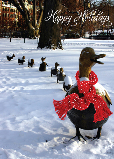 Duck Christmas Cards